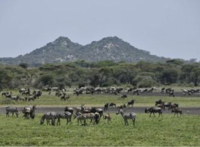 5-Day Tarangire - Serengeti - Ngorongoro Safari Tour