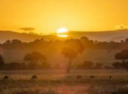 15-Days Kenya - Tanzania Safari - Zanzibar Beach Holiday Tour