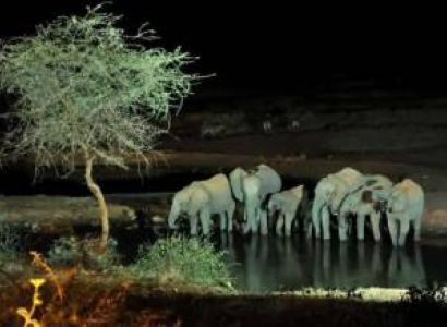 7-Day Tanzania Safari - Sundowner - Night Game Drive Tour