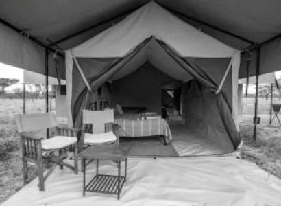 6-Day Wildlife Safari In Tanzania With Lake Eyasi Visit Tour