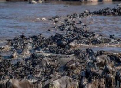 7-Day Exciting Tanzania Safari - Wildebeest Migration Tour
