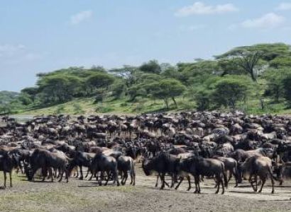Luxury Arusha Tour Package - 4 Days