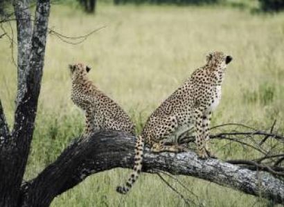 2 Days Arusha Tour Package - Luxury