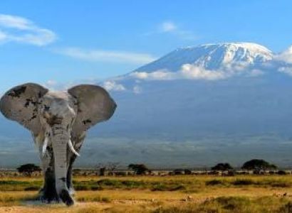5 Days / 6 Nights Tanzania Safari Package