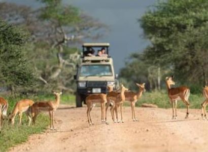 3 Days Serengeti & Ngorongoro Crater Safari | Tanzania Wildlife Safari & Big Five Tour