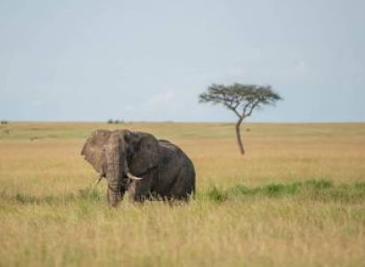 3 Day Ngorongoro Crater, Lake Manyara & Tarangire Safari | Tanzania Wildlife Safari & Big Five Tour