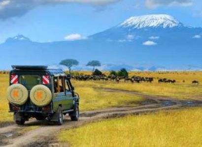 SAFARI SHIELD ADVENTURES 6N/7D African Wildlife Safari & Culture