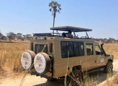 Tanzania Safari
