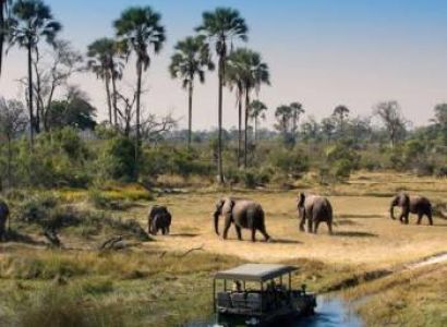 Tanzania Short Trip