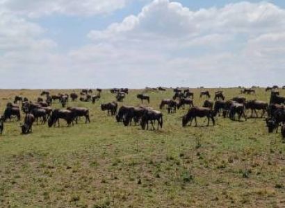 Tsavo East - Tsavo West - Amboseli - Naivasha - Nakuru - Maasai Mara By Road Economy Safari