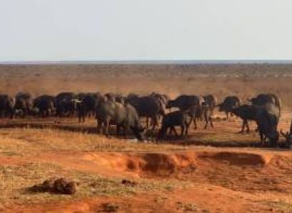 The Ultimate Nairobi, Tsavo & Malindi Luxury Escape