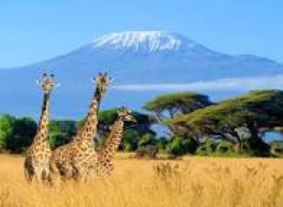 Kenya Tour Package