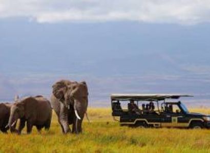 6 Nights 7 Days Bespoke Luxury Safari- the Essence of Kenya