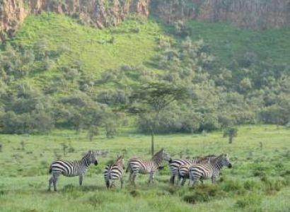 2-Day Lake Naivasha Safari Tour