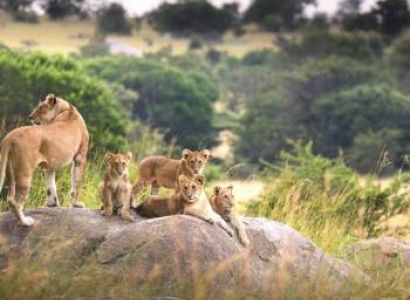 The Grand Tanzania Safari Tour