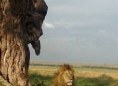 Bespoke Luxury Kenya Safari