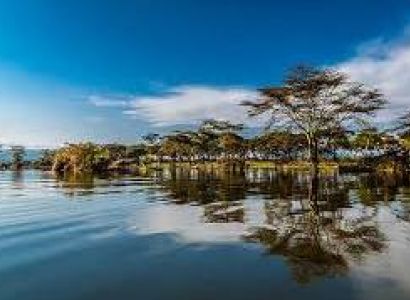 Rwanda Packages 1 Nights 2 Days Gorilla Trekking Experience and Memorial Visit