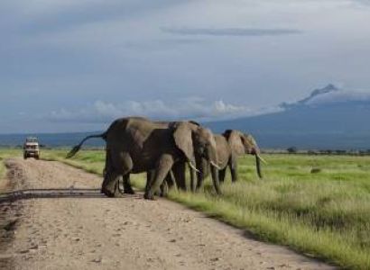 6 Nights/7 Days Kenya Safari