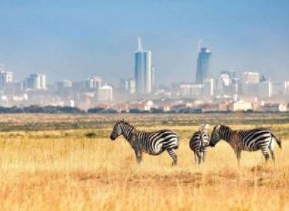 8 Days / 7 Nights Kenya Safari