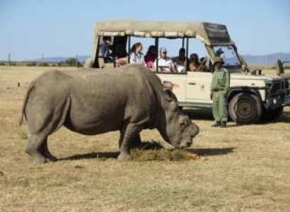 KENYA COAST & WILDLIFE SAFARI
