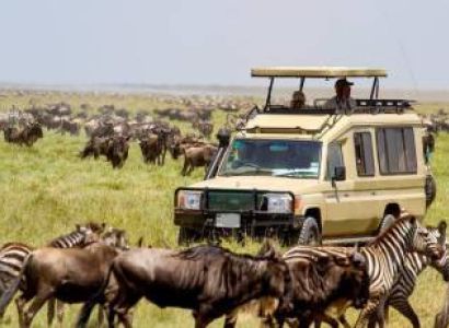 9 days 8 nights Magic kenya Tanzania adventure