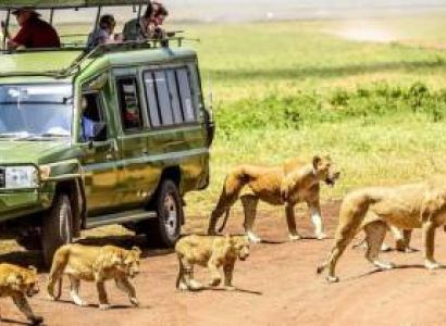 One Day Nairobi Unveiled Wildlife Culture and Heritage