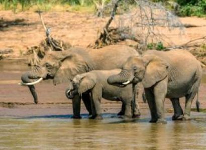 Kenya Wildlife, Lakes & Kilimanjaro Safari