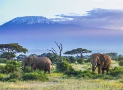 5 DAYS, 4 NIGHTS MAASAI MARA TOUR
