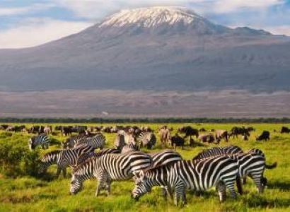 3 nights 4 days from India to Amboseli national park