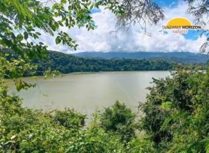 3 DAYS, 4 NIGHTS TANZANIA SAFARI TOUR