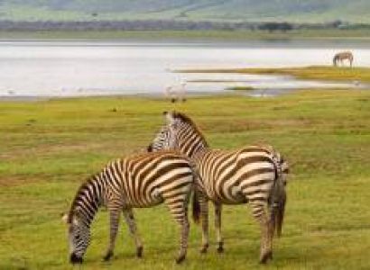 Ngorongoro Crater Safari 4 Days Itinerary Tour