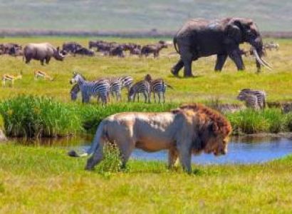 Serengeti National Park Safari 4 Days Private Tour