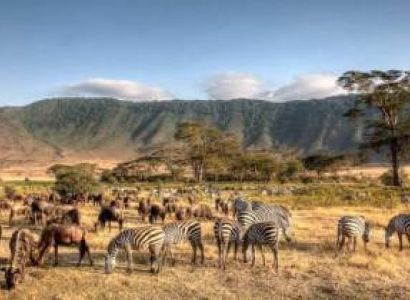 3 Day Luxury Safari To Lake Manyara - Ngorongoro Crater And Tarangire Tour
