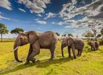 10-day Premium Kenya Safari Itinerary