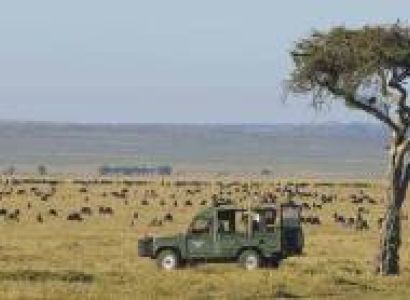 8 Days 7 Nights Maasai Mara - Lake Nakuru N.p – Lake Naivasha - Amboseli N. P
