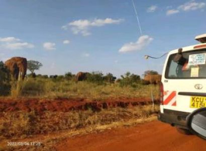 Watamu to Tsavo East National Park Safari Package