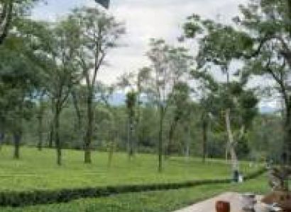 Barot Valley Riverside Camp Tour