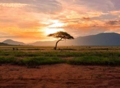 7 Days / 6 Nights Kenya Safari & Diani Beach Adventure
