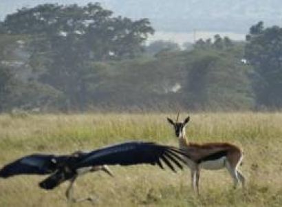 2 Nights 3 Days Tanzania Tour