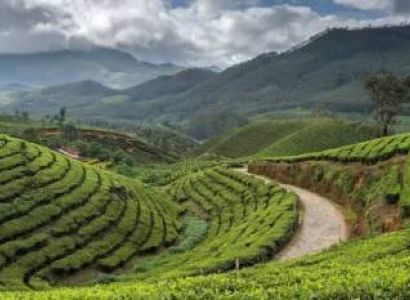 Proposed Kerala Itinerary For 4 Nights - 5 Days Tour