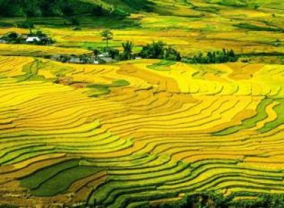 VIETNAM DISCOVERY 8 DAYS/7 NIGHTS