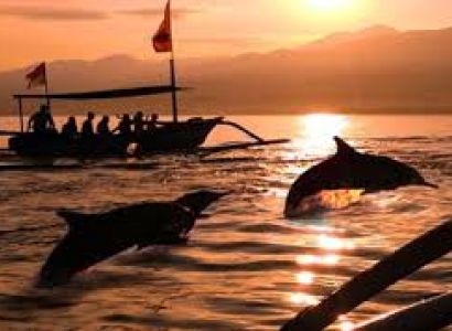 Lovina Dolphin Tour Bali