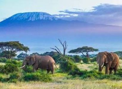 Nairobi City Walk Tour