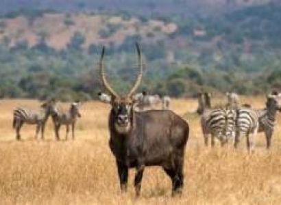 5 Days Kerala Luxury Tour - Kigali