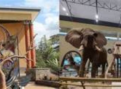 Kenya Heritage & Living Traditions