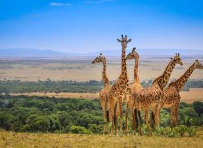 Nairobi & Nakuru & Masai Mara 6D/5N Luxury Travel Package