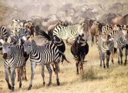 Luxury Arusha & Kilimanjaro & Ngorongoro Tour Package - 7 Days