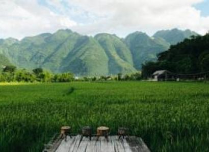 Ho Chi Minh City & Hue & Hoi An & Ben Tre & Ha Long & Ninh Binh & Hanoi & Mekong Delta 15D/14N Luxury Travel Package