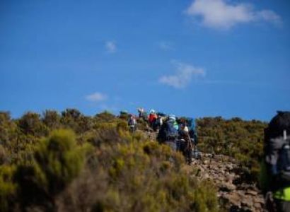 The 8 Days  Lemosho Route on Mount Kilimanjaro