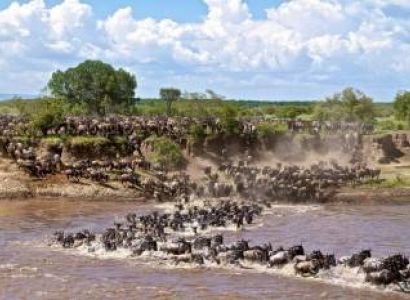 6 Days Premium Serengeti Safari